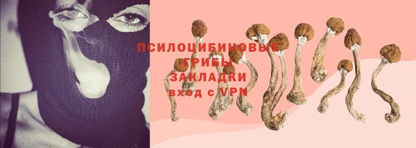 гидропоника Белокуриха