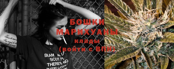 гидропоника Белокуриха