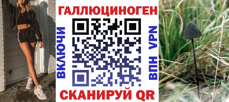 купить наркоту  Верхний Уфалей  Псилоцибиновые грибы Cubensis 