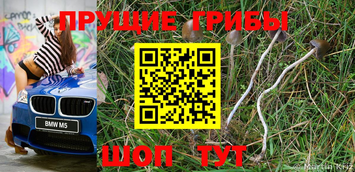 Верхний Уфалей  где купить   Вход с VPN  Галлюциногенные грибы Psilocybine cubensis 
