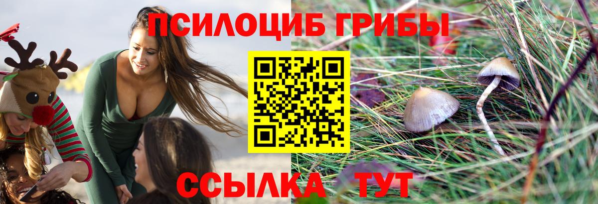 Псилоцибиновые грибы Magic Shrooms Верхний Уфалей